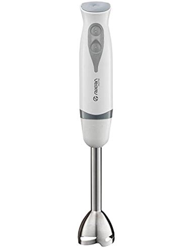 S BATIDORA RAYDAN DE BRAZO METALICO 300E CON VASO