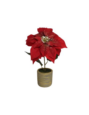 A MACETA POINSETTIA ROJA 35*30