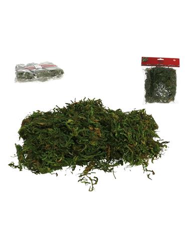 A MUSGO 40G