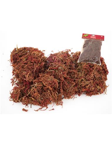 A MUSGO ROJO 30G